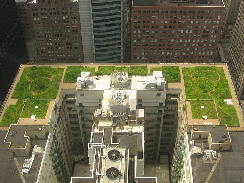 Green Roof