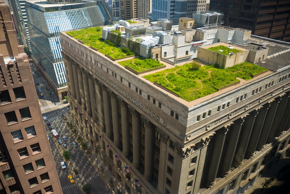 Nachhaltigkeit, Energiesparen, Klimaschutz – sind das Themen in New York?