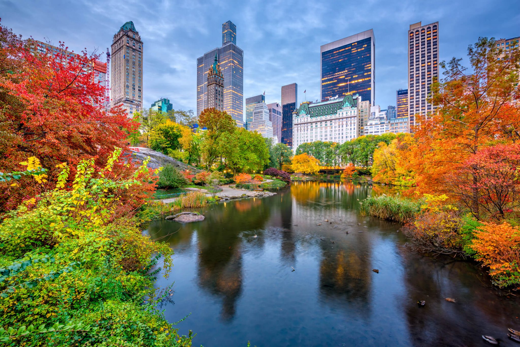 Naturschauspiel in der ultimativen Großstadt – der Blätterwechsel in New York