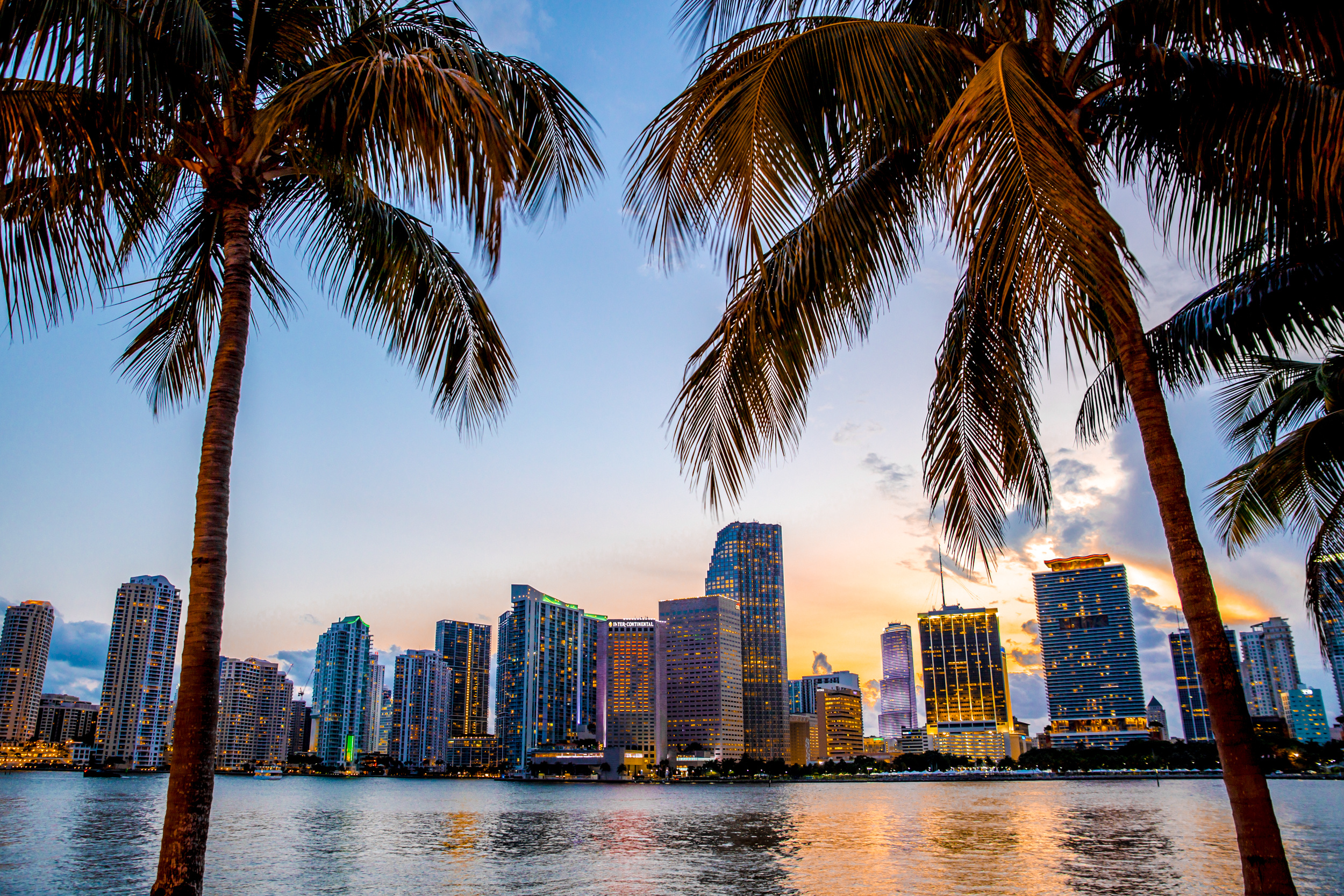 Wall Street South – Die Abwanderung New Yorker Finanzfirmen nach Miami