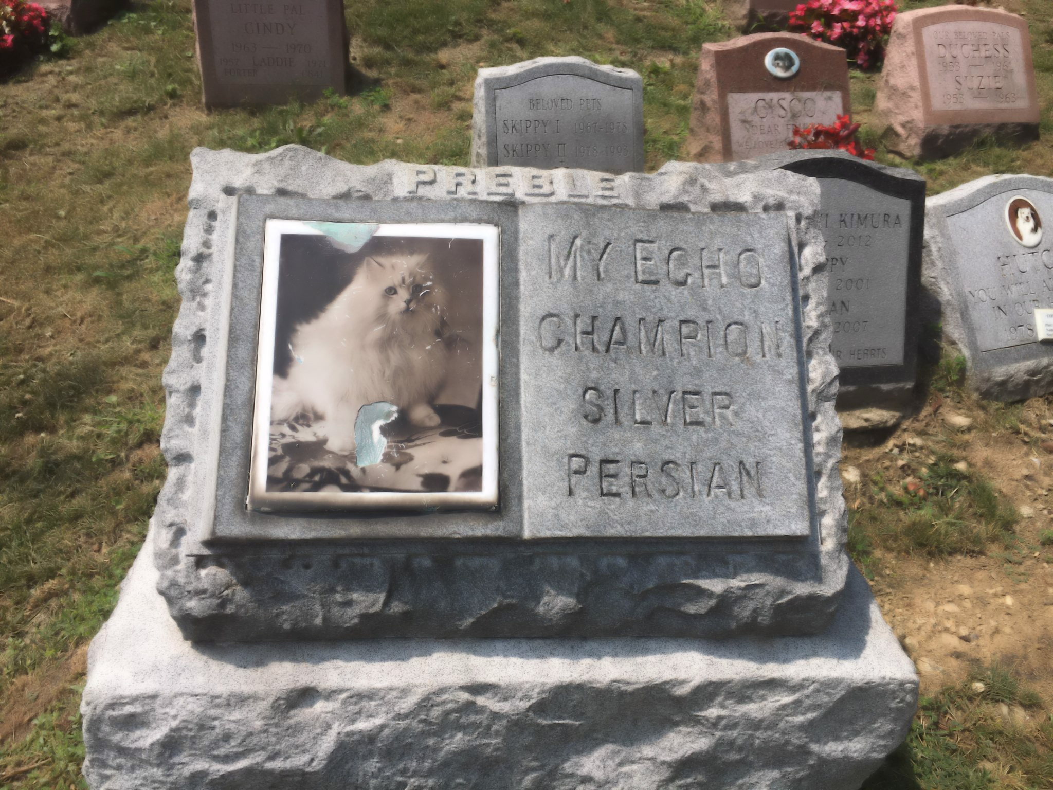 Hartsdale Pet Cemetery, der erste gewerblich betriebene Tierfriedhof der Welt