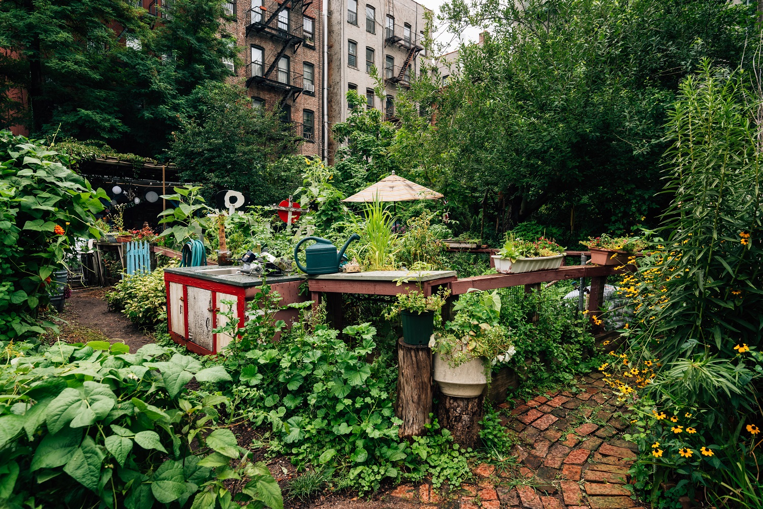 Community Gardens – die kleinen grünen Oasen zwischen den Häusern der Stadt, die sich die New Yorker über die Jahrzehnte erkämpften