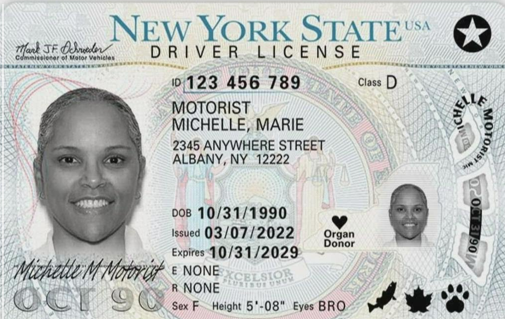 So macht man in New York den Führerschein