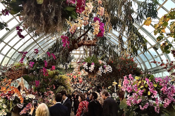 Die New York Orchid Show, ein spektakuläres Event mit Tausenden Orchideen aus der ganzen Welt, beginnt am Samstag