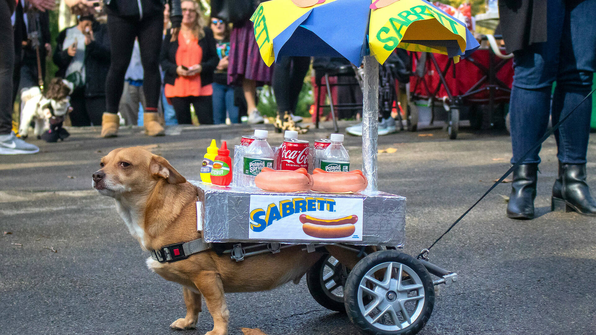 Die jährliche Hunde Halloween Parade in New York