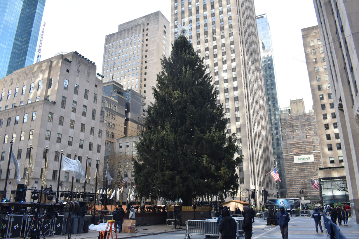 Der diesjährige Weihnachtsbaum kam  am Rockefeller Center an