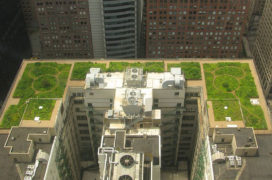 Green Roof