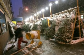 Christmas Trees