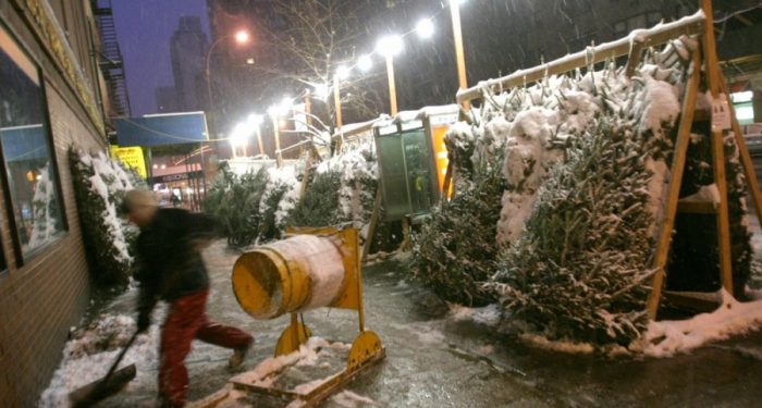 Christmas Trees