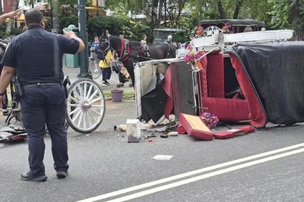 Kutschenfahrten im Central Park nach Tod eines Passagiers ausgesetzt – erst letzte Woche starb ein Pferd dort (mit Video 1:42)